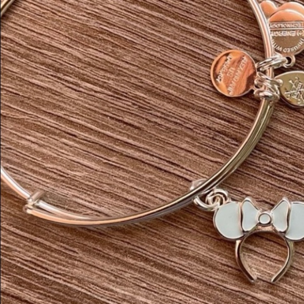 Silver and blue Alex and ani disney charm bracelet